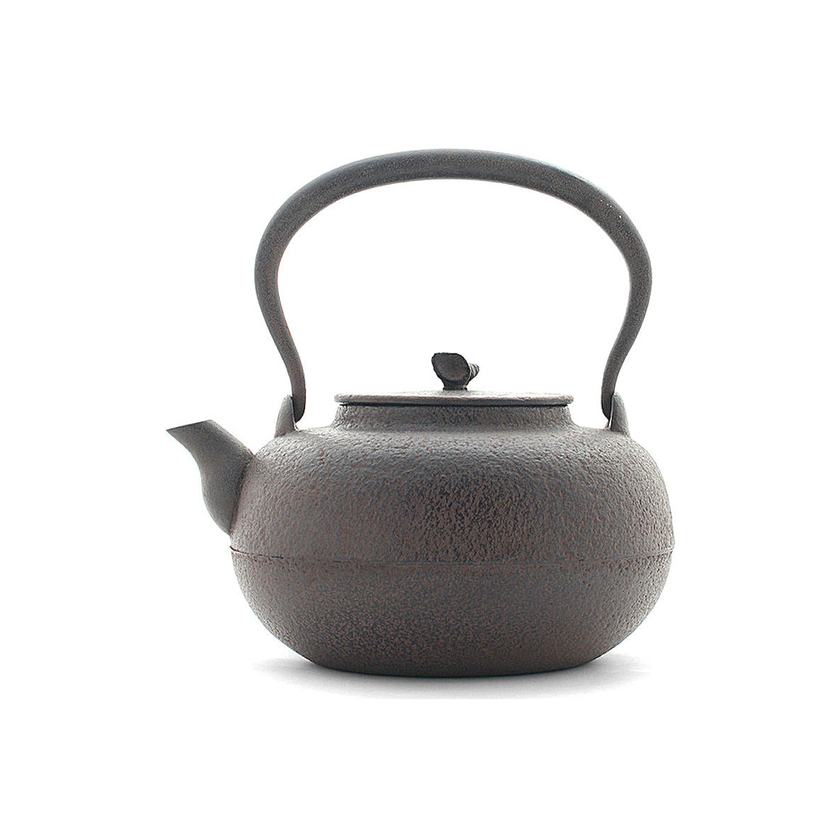 Tetsubin Gen  Elegant Japanese Cast Iron Kettle with Porcelain